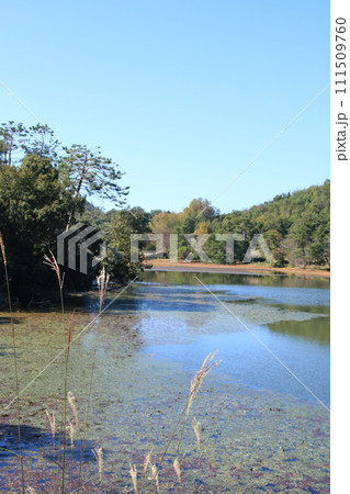 秋の兵庫県立フラワーセンター(兵庫県加西市)の亀ノ倉池 111509760