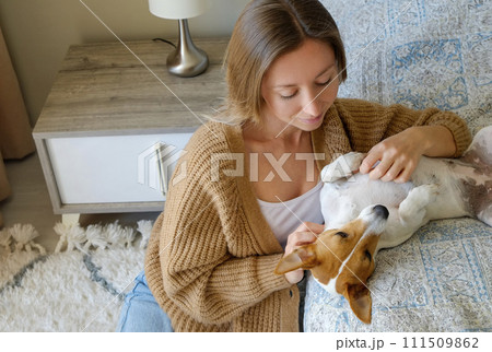 Woman with her jack russell pup at home. 111509862