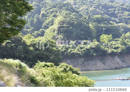 緑に覆われたダム湖 緑に覆われたダム湖 111510666