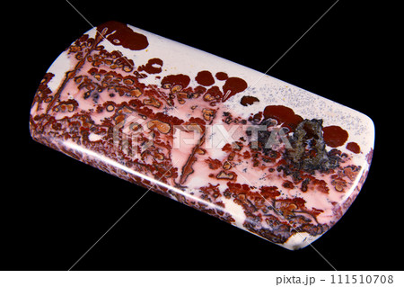 ピクチャー・ジャスパー 風景を宿す石 111510708