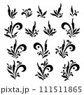 Set Floral Patterns, Contours 111511865