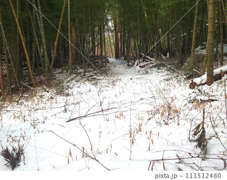 雪の積もった山道 雪の積もった山道 111512480