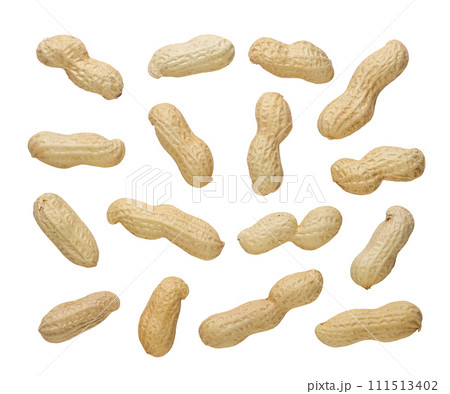 Set of peanuts in shell on a white background. Top view Set of peanuts in shell on a white background. Top view 111513402