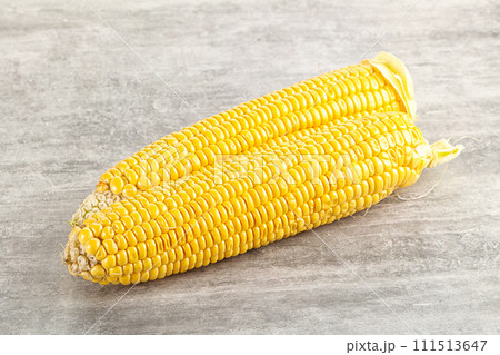 Sweet yellow raw corn cob 111513647