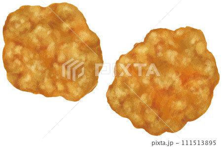 唐揚げ 揚げ物 111513895