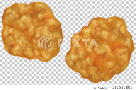 唐揚げ 揚げ物 111513895