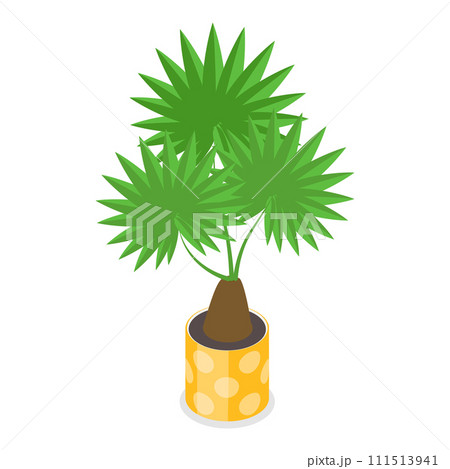 3D Isometric Flat Vector Set of Houseplants. Item 4 111513941