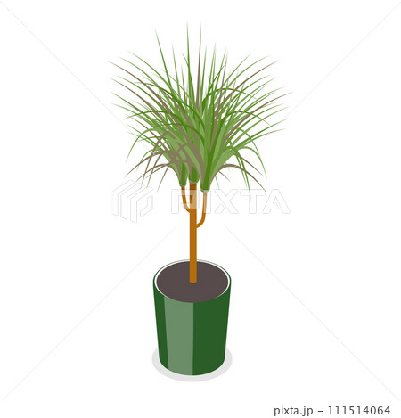 3D Isometric Flat Vector Set of Houseplants. Item 3 3D Isometric Flat Vector Set of Houseplants. Item 3 111514064