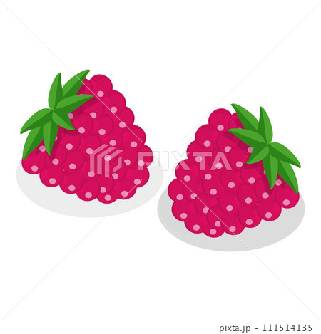 3D Isometric Flat Vector Set of Medical Herbs And Berries. Item 5 111514135