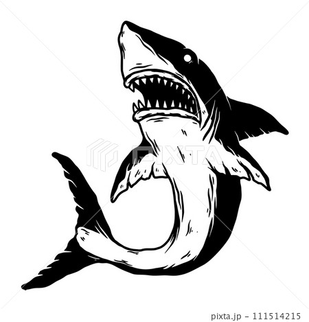 Illustration of angry shark in monochrome style. Design element for logo, label, sign, emblem, poster. Vector illustration 111514215