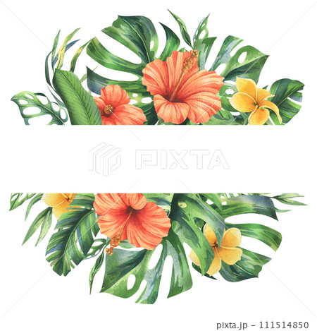 Tropical palm leaves, monstera and flowers of plumeria, hibiscus, bright juicy. Hand drawn watercolor botanical illustration. Template, frame isolated from the background 111514850