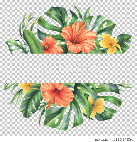 Tropical palm leaves, monstera and flowers of plumeria, hibiscus, bright juicy. Hand drawn watercolor botanical illustration. Template, frame isolated from the background 111514850