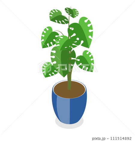 3D Isometric Flat Vector Set of Houseplants. Item 6 111514892