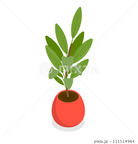 3D Isometric Flat Vector Set of Houseplants. Item 5 111514964