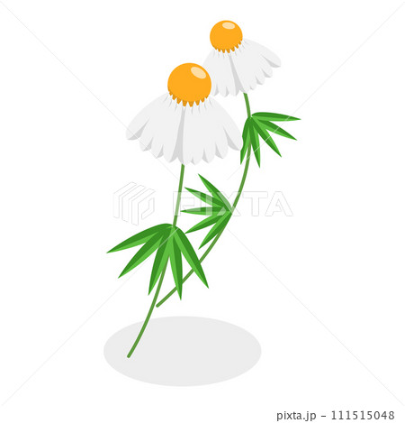 3D Isometric Flat Vector Set of Medical Herbs And Berries. Item 3 111515048