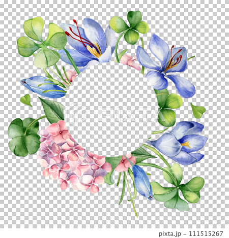 Circle frame with flowers and shamrock watercolor illustration isolated on white. Painted pink hydrangea flowers frame. Hand drawn Irish symbol. Design for St.Patricks day, Easter, springtime, package 111515267