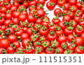 たくさんの赤いミニトマト 111515351