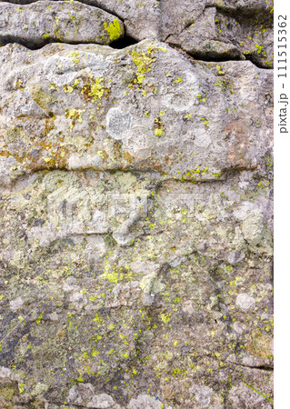grungy texture of a grey stone with moss and caracks 111515362