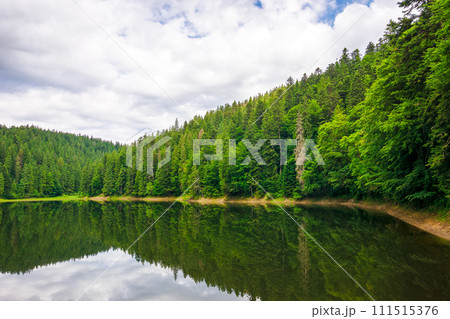 lake of synevyr national park in summer. forested hills of carpathian mountains reflecting on the water surface. cloudy weather. popular travel destination of ukraine 111515376