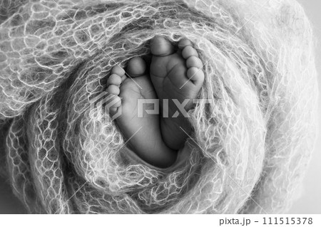 The tiny foot of a newborn baby. Soft feet of a new born in a wool blanket. Close up of toes, heels and feet of a newborn. Black and white Macro photography. The tiny foot of a newborn baby. Soft feet of a new born in a wool blanket. Close up of toes, heels and feet of a newborn. Black and white Macro photography. 111515378