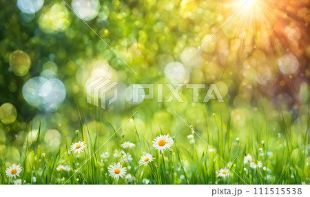 Sunny spring field: Vibrant flowers under the sun Sunny spring field: Vibrant flowers under the sun 111515538