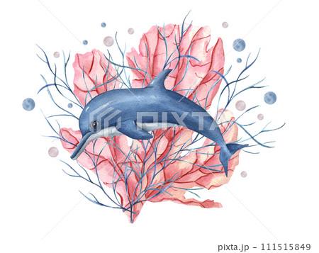 Blue dolphin among pink coral, underwater plants. Pink, blue water bubbles. Coral reef. Hand painted watercolor oceanic illustration. Aquatic card for design, print, background Blue dolphin among pink coral, underwater plants. Pink, blue water bubbles. Coral reef. Hand painted watercolor oceanic illustration. Aquatic card for design, print, background 111515849