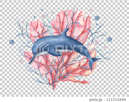 Blue dolphin among pink coral, underwater plants. Pink, blue water bubbles. Coral reef. Hand painted watercolor oceanic illustration. Aquatic card for design, print, background Blue dolphin among pink coral, underwater plants. Pink, blue water bubbles. Coral reef. Hand painted watercolor oceanic illustration. Aquatic card for design, print, background 111515849