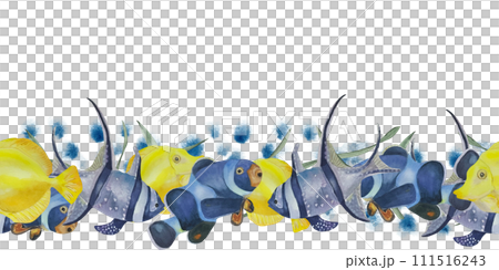 Seamless borders, watercolor illustration with tropical fish, corals. For fabric, textiles, wallpaper, prints Seamless borders, watercolor illustration with tropical fish, corals. For fabric, textiles, wallpaper, prints 111516243