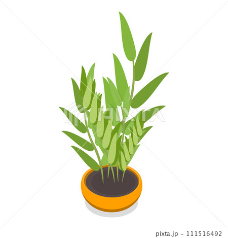 3D Isometric Flat Vector Set of Houseplants. Item 1 111516492