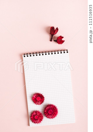 Notebook for writing and dry red flowers on a pink background top and vertical view Notebook for writing and dry red flowers on a pink background top and vertical view 111516935