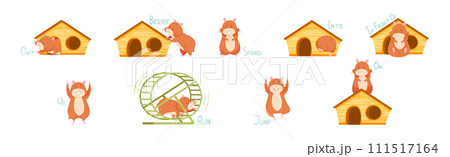 Cute Hamster Demonstrating English Verbs and Prepositions of Place and Movement Vector Set Cute Hamster Demonstrating English Verbs and Prepositions of Place and Movement Vector Set 111517164