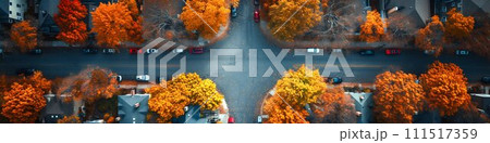 Urban Landscape: Aerial View of City Streets and Roundabout. Generative ai Urban Landscape: Aerial View of City Streets and Roundabout. Generative ai 111517359