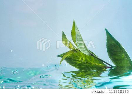 Green natural leaf floats in clear water on a wave. The concept of clean water, purification of water bodies, protection of nature and purification of water bodies. Eco-concept 111518156