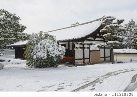 雪の東福寺 東司 京都市東山区 雪の東福寺 東司 京都市東山区 111518209