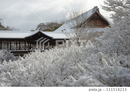 雪の東福寺　臥雲橋から通天橋を望む　京都市東山区 111518213