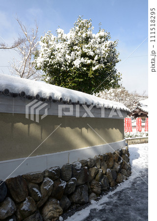 雪の東福寺　境内の積雪　京都市東山区 111518295