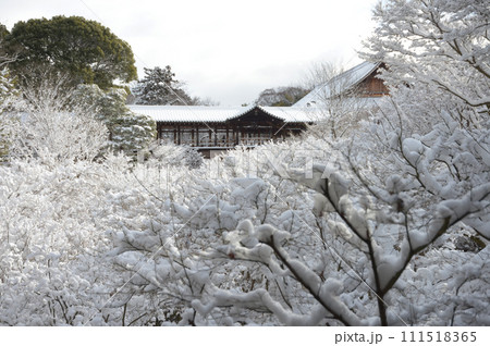 雪の東福寺　臥雲橋から通天橋を望む　京都市東山区 111518365