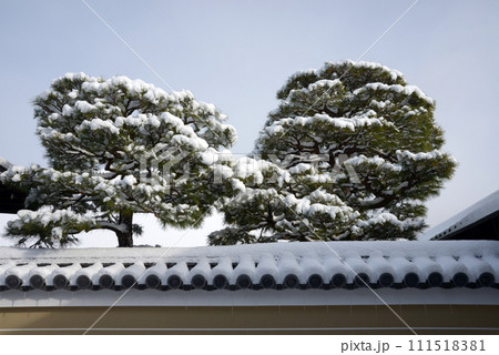 雪の建仁寺　境内の積雪　京都市東山区 111518381