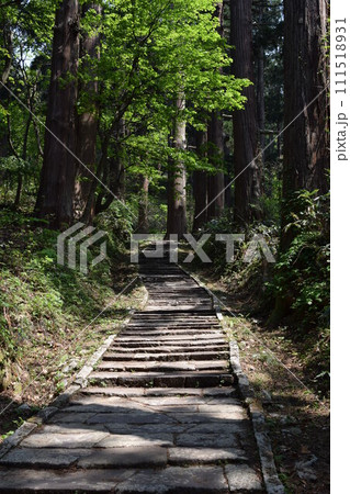 羽黒山の石段 2446段は神社で日本一 羽黒山の石段 2446段は神社で日本一 111518931