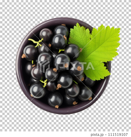 Black currant and green leaf in bowl 111519107