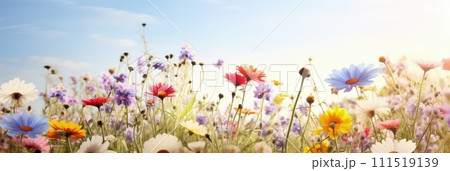 Beautiful celebration spring flowers on pastel background. Concept Birthday, Mothers Day, Womens Day, March 8. Spring easter flower background. Spring, easter greeting card design layout. Copy space. 111519139