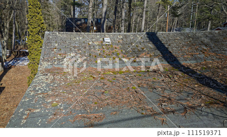Roof in need of repair with damaged asphalt roofing shingles covered in tree debris, needles, moss Roof in need of repair with damaged asphalt roofing shingles covered in tree debris, needles, moss 111519371