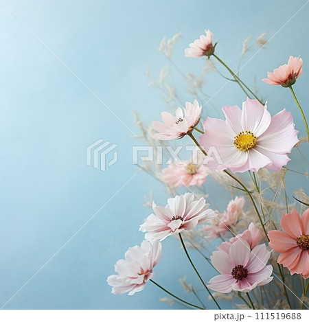 Beautiful celebration spring flowers on pastel background. Concept Birthday, Mothers Day, Womens Day, March 8. Spring easter flower background. Spring, easter greeting card design layout. Copy space. 111519688