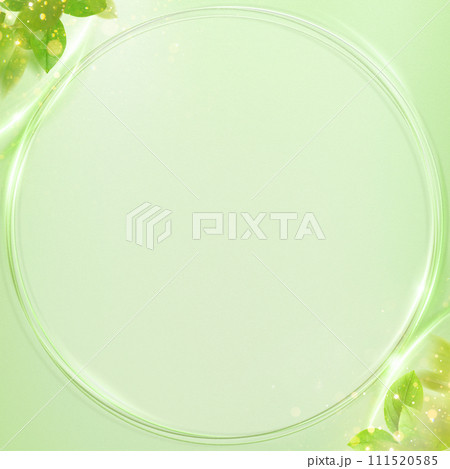 さわやかな新緑の背景 111520585