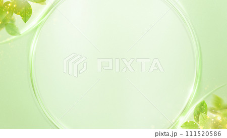 さわやかな新緑の背景 111520586