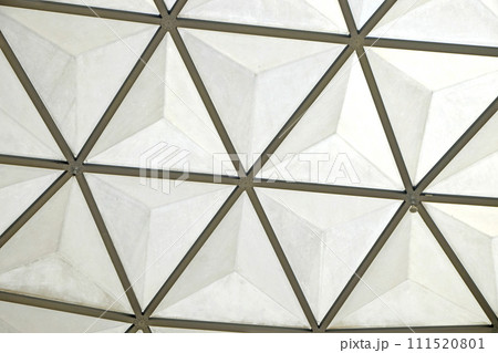 botanical dome glass roof 111520801