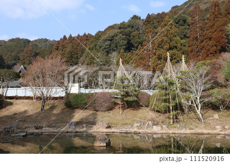 梅花薫る令和大改修の山口瑠璃光寺の初春の風景 梅花薫る令和大改修の山口瑠璃光寺の初春の風景 111520916
