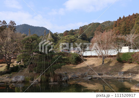 梅花薫る令和大改修の山口瑠璃光寺の初春の風景 111520917