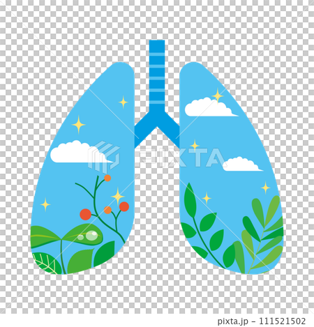 Beautiful lung image illustration 111521502