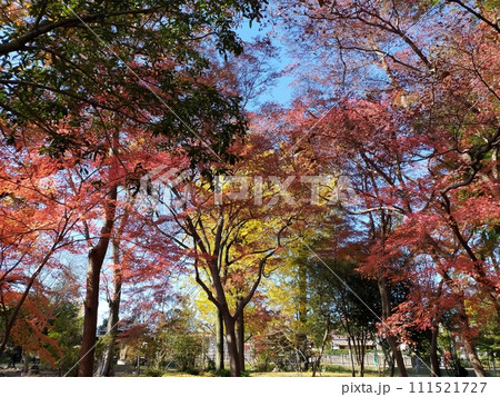 雀宮公園 (埼玉県寄居町) 雀宮公園 (埼玉県寄居町) 111521727